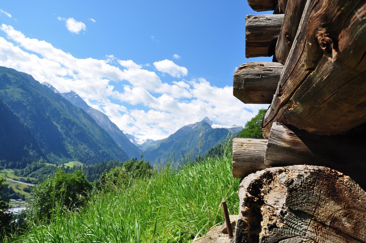 Apartments Obernosterer - Grossglockner Капрун Екстериор снимка